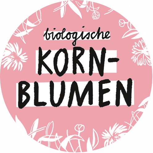 kornblume